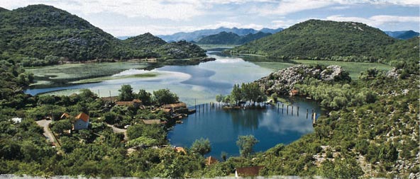 Plavnica - okruženje